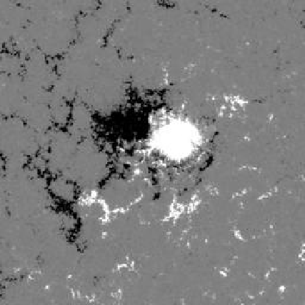 Probing Solar Flare Dynamics via Explainable AI
